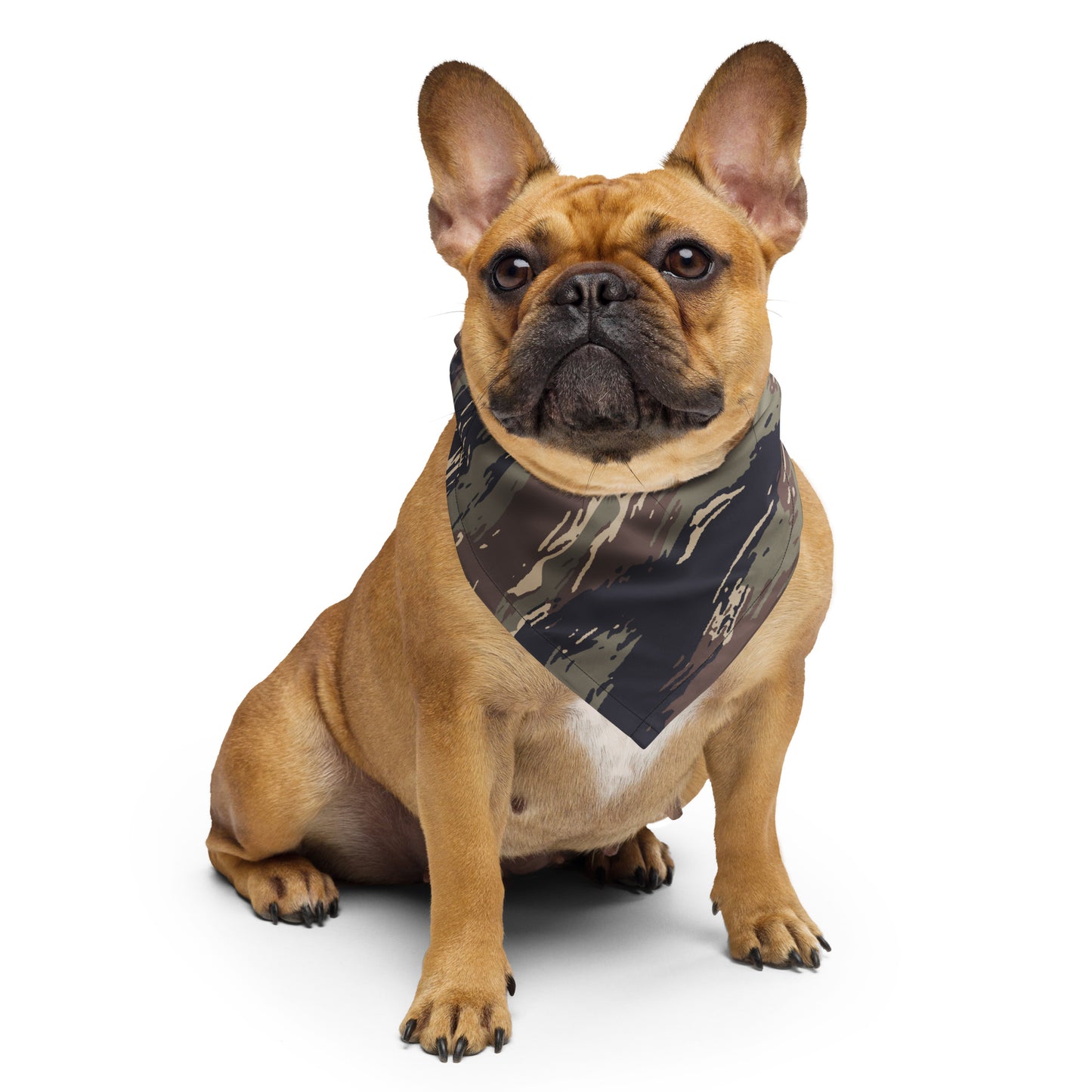 Tiger Stripe Bandana